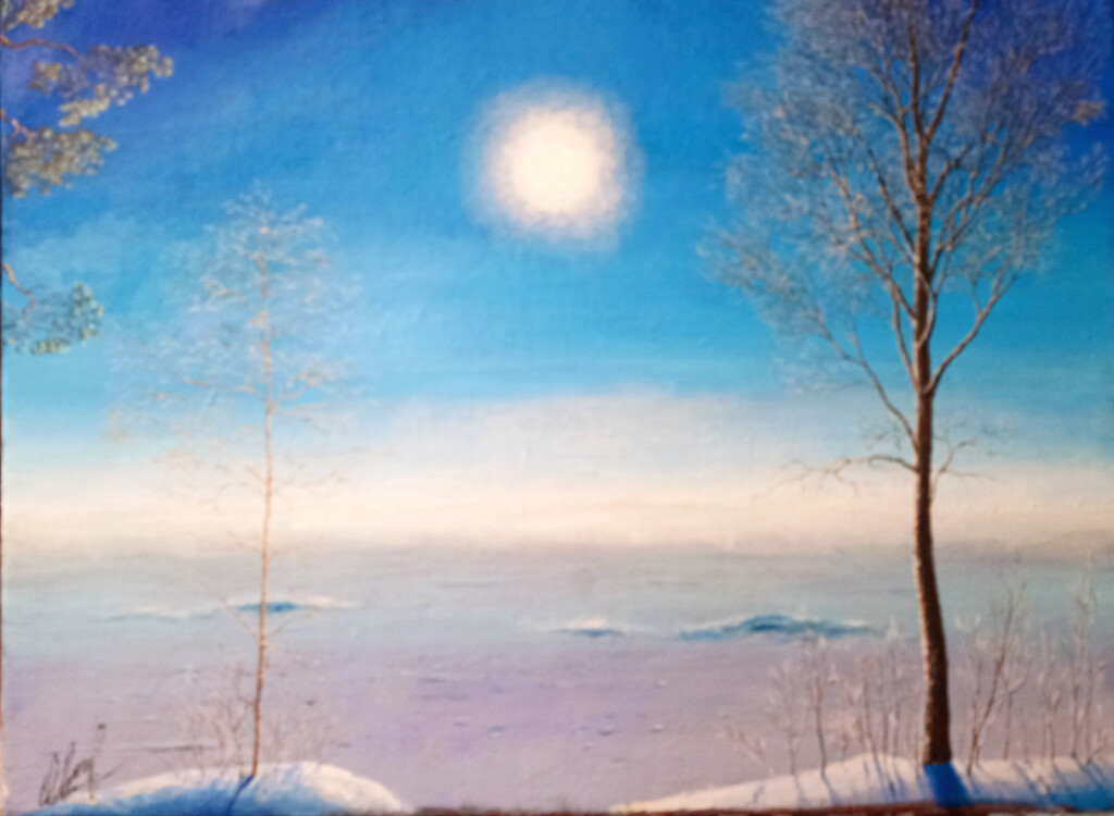 Зима. Финский залив