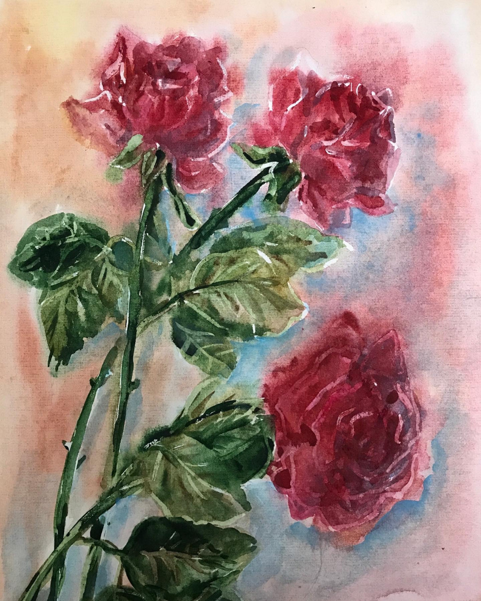 Красные розы