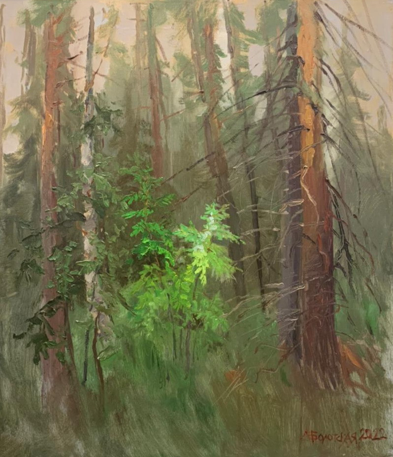 Рябинка в лесу