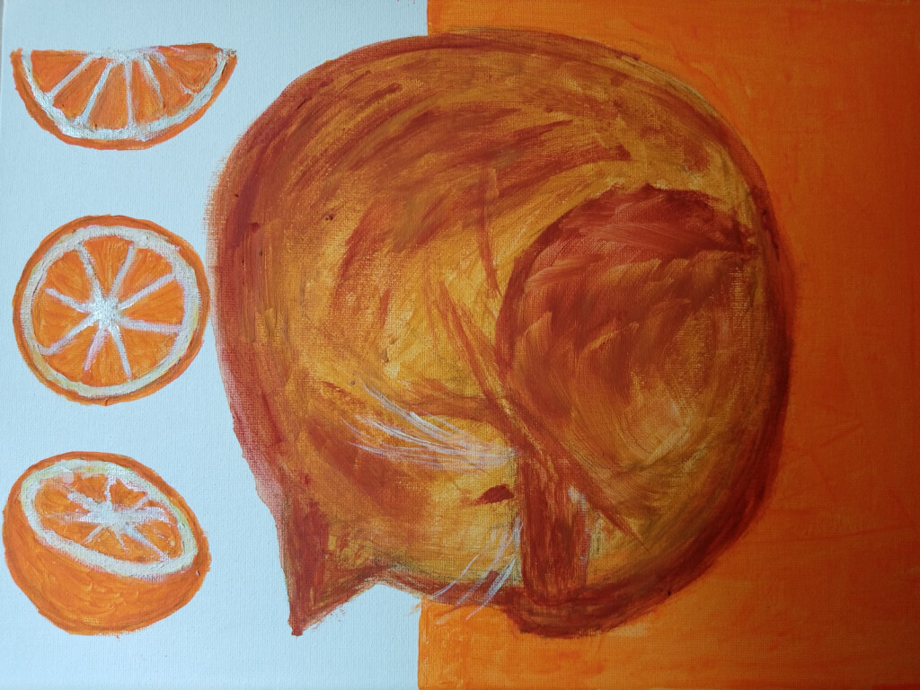 Кот и апельсины