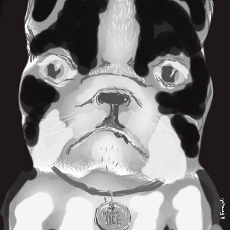 Французский бульдог