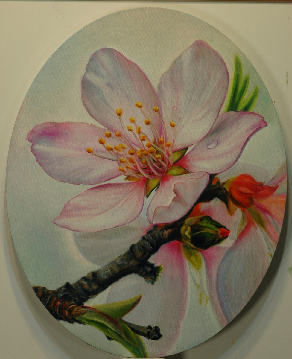 Цветок персика