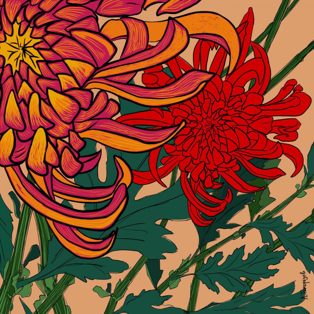 Хризантемы