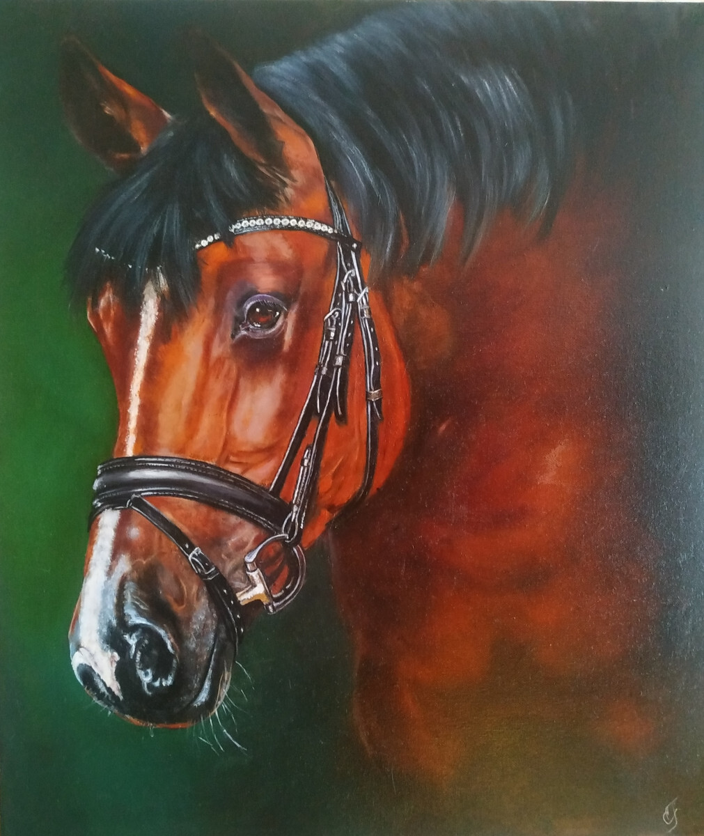 портрет лошади