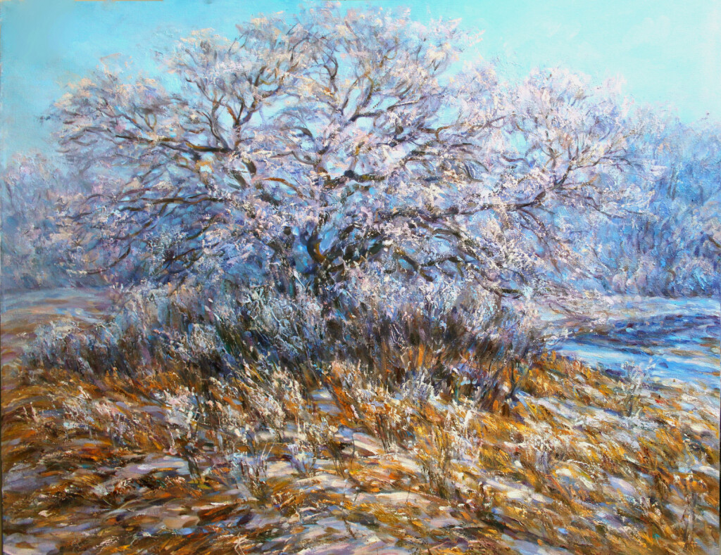 Солнечный день. Иней.