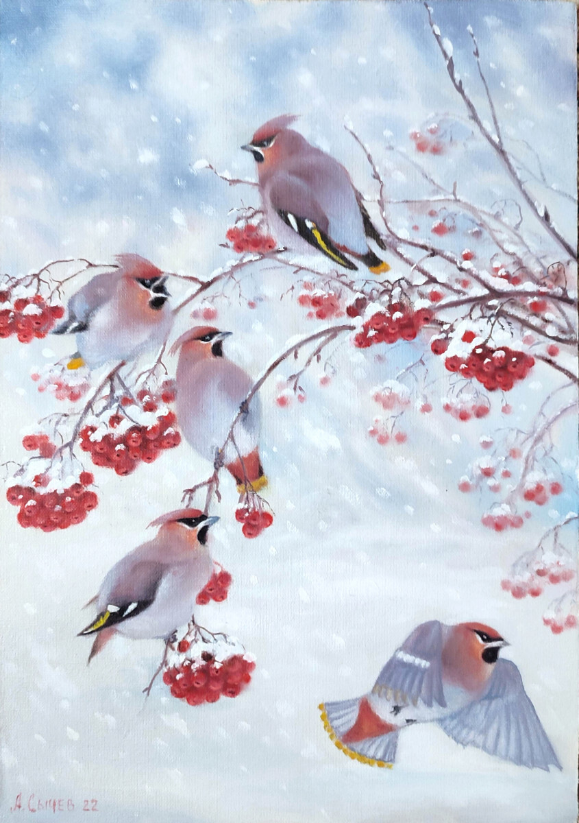 Свиристели