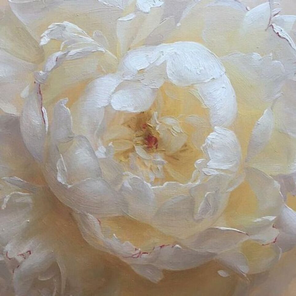 Нежный пион