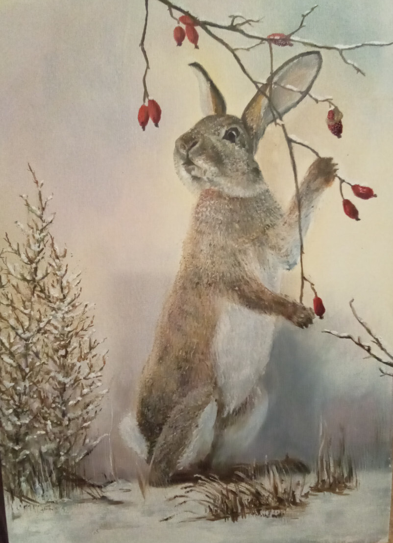 Год кролика