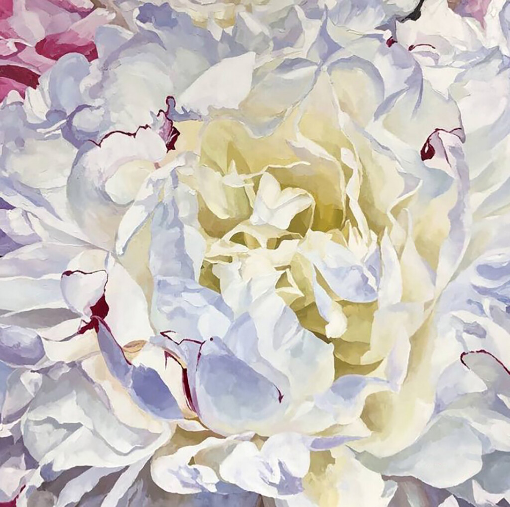 Нежный пион