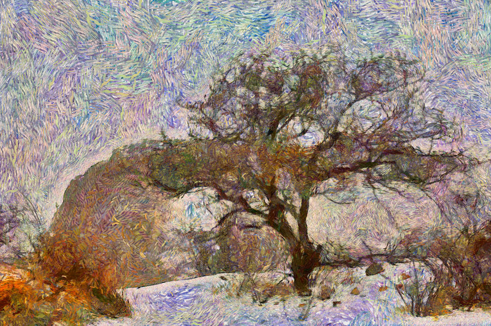 Зима в горах