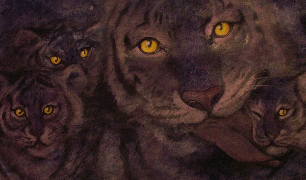 Взгляд ночи