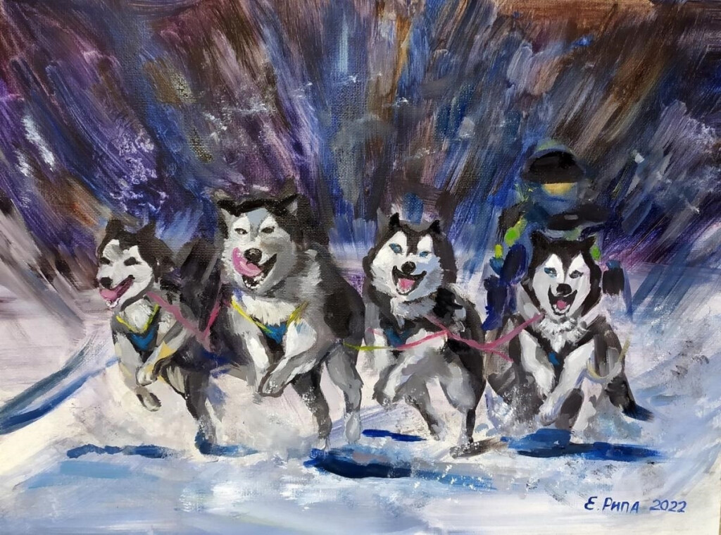 Упряжка хаски