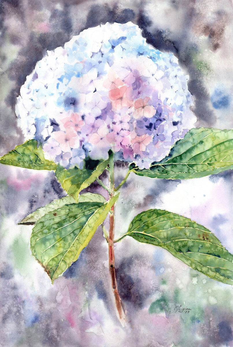 Ее Величество Гортензия