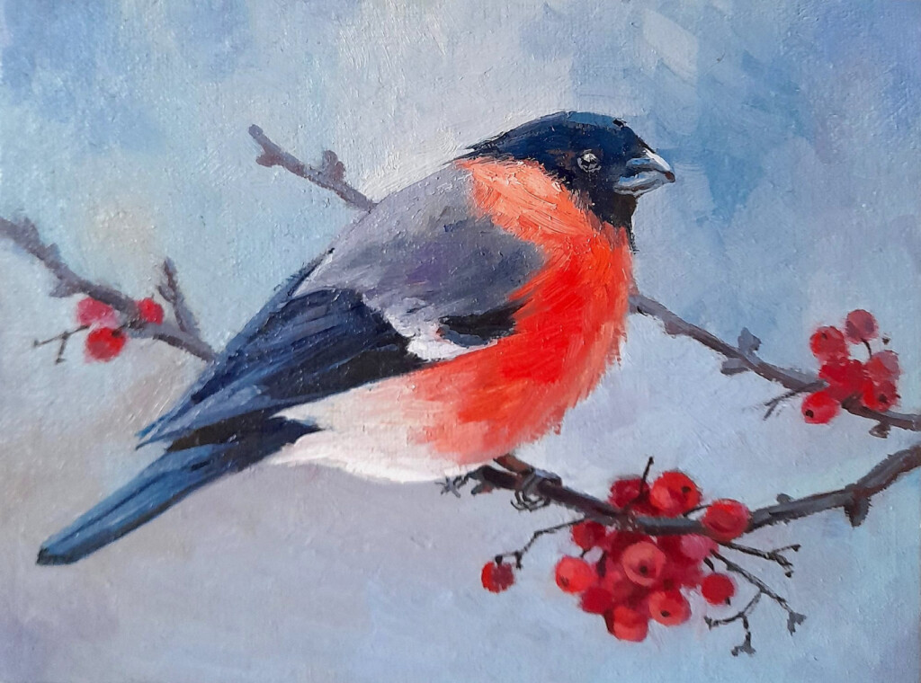 Красногрудый снегирь