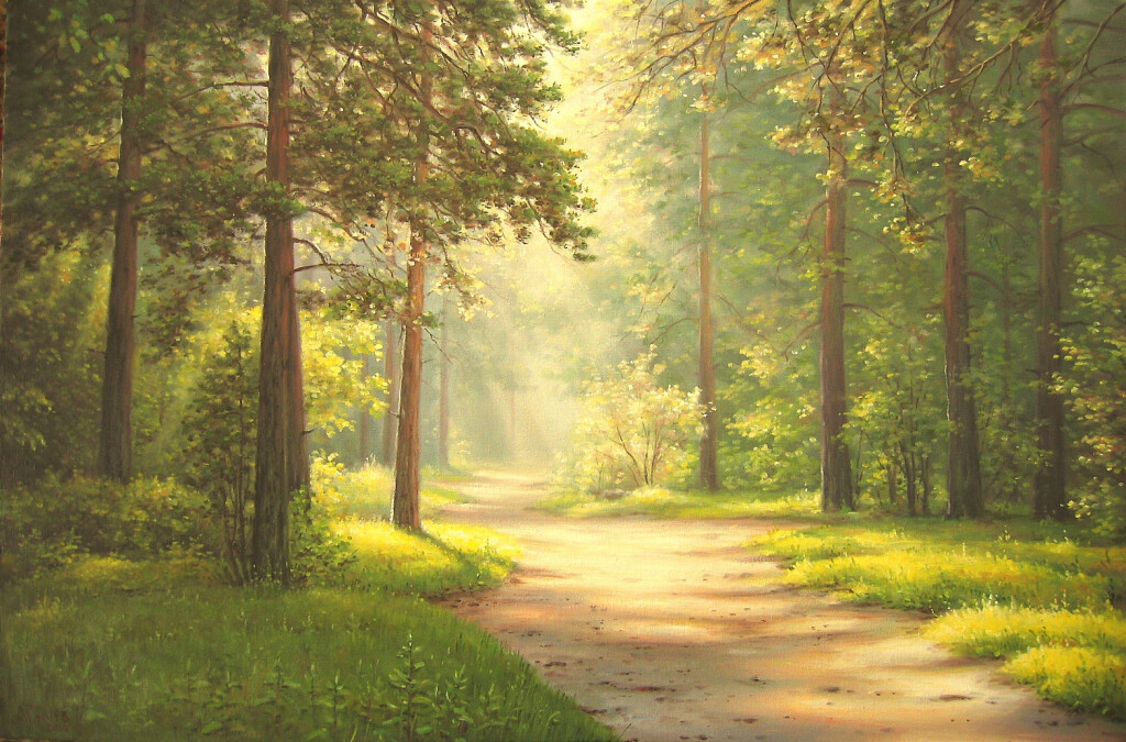 Дорога в сосновом лесу