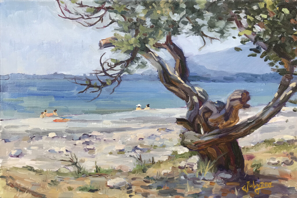 Старое дерево у моря