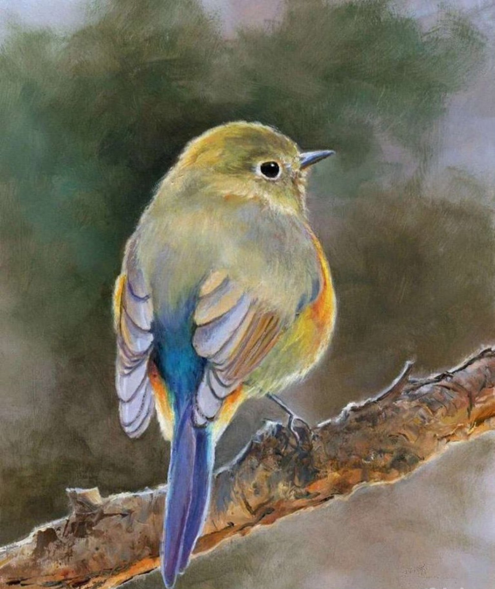 Птичка малиновка