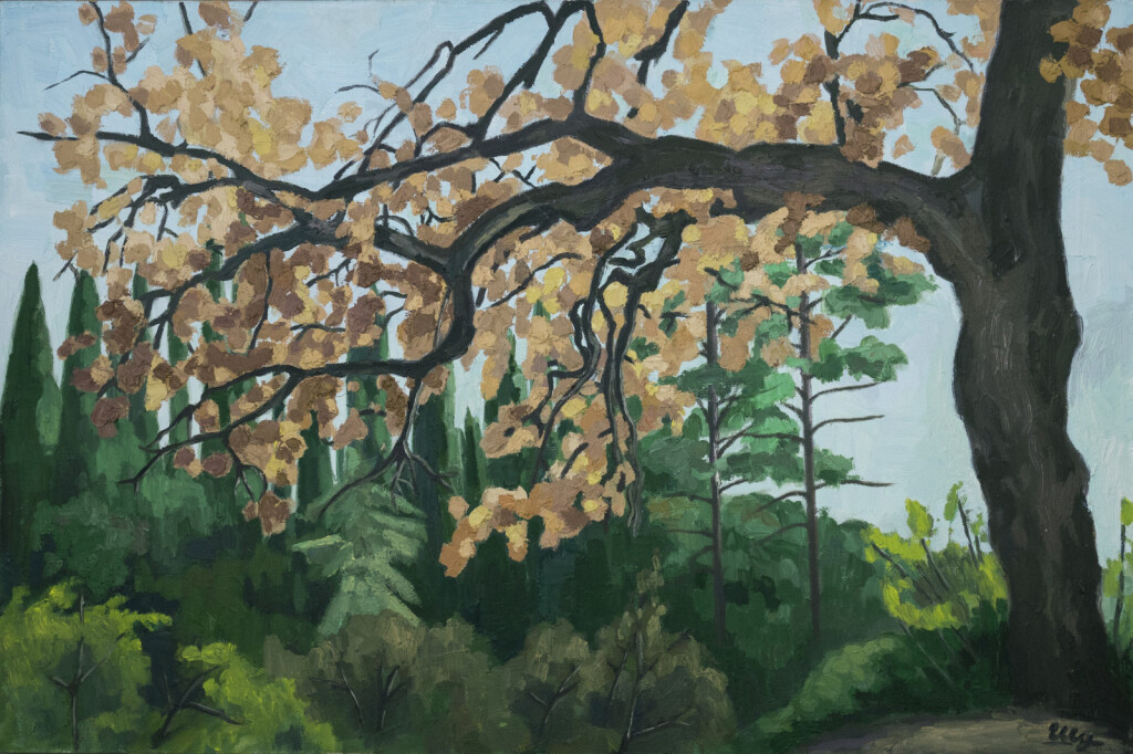 Устойчивое состояние