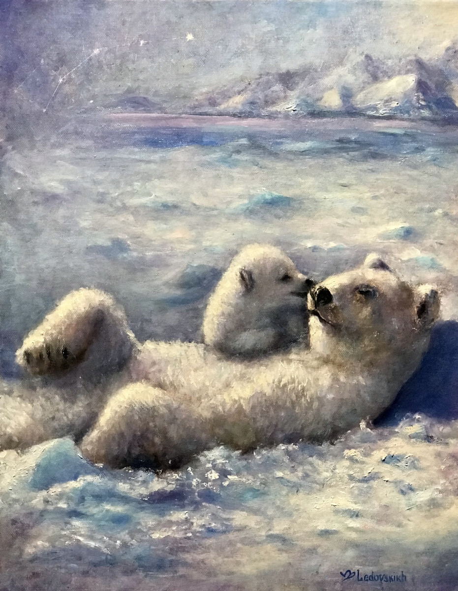 Медвежья нежность