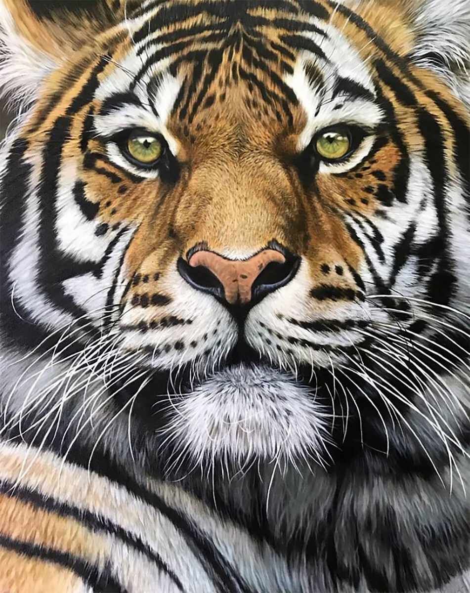 Статный тигр