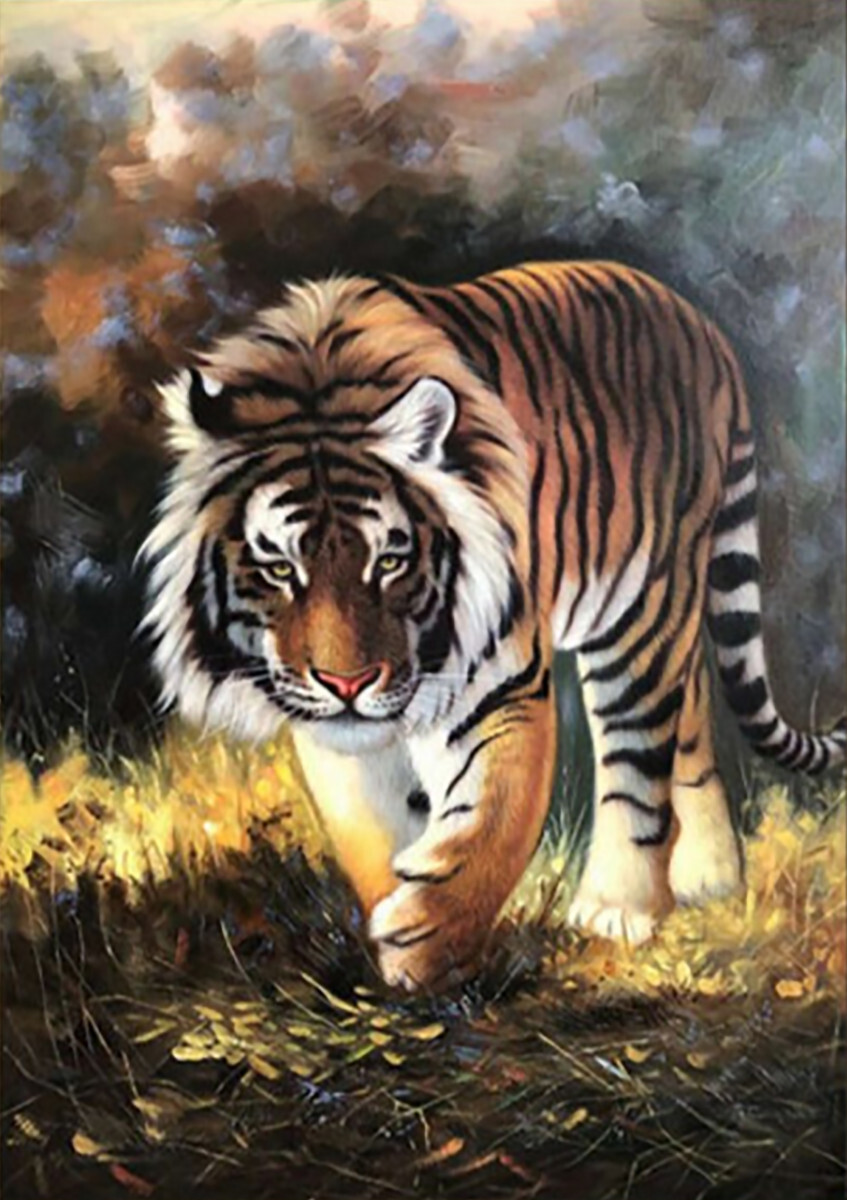 Тигр крадётся