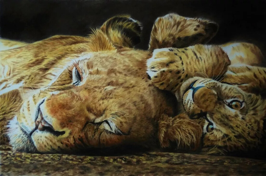 Львица и львенок