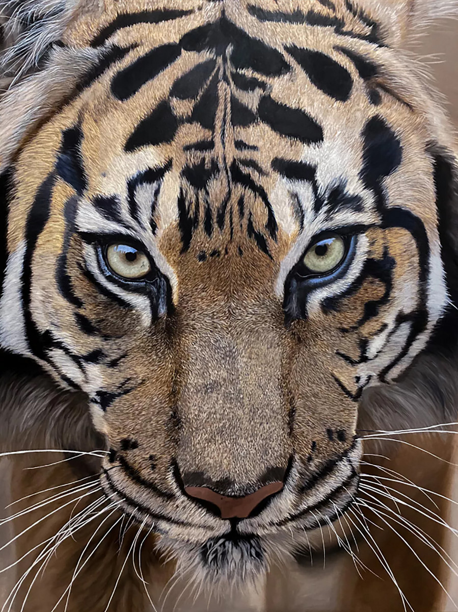 Свирепый тигр