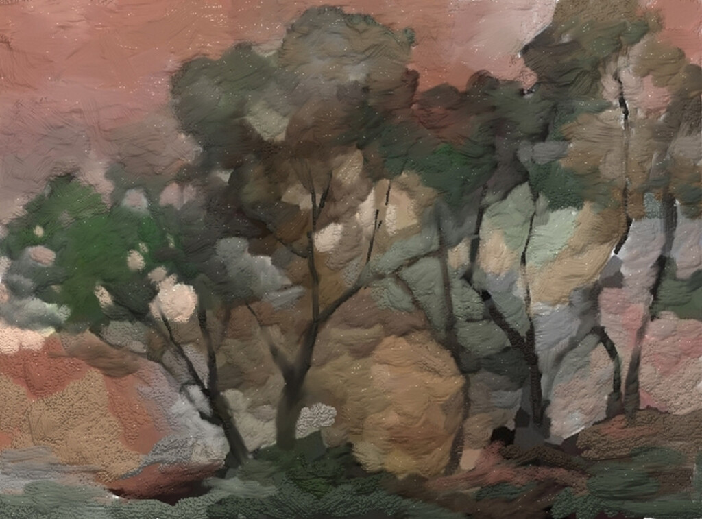 Вечерний свет.