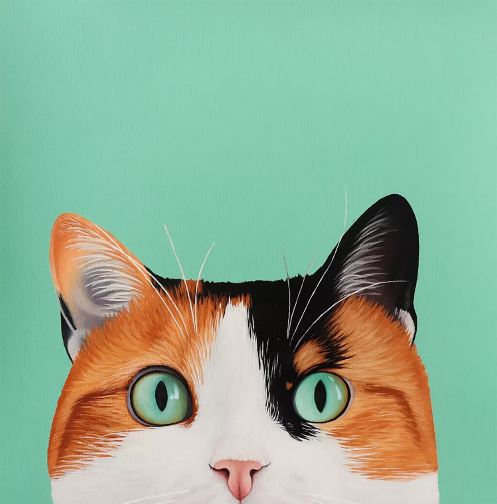 Трёхцветная кошка