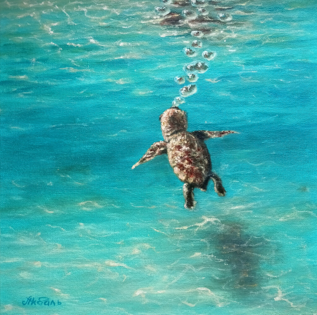 Черепашонок