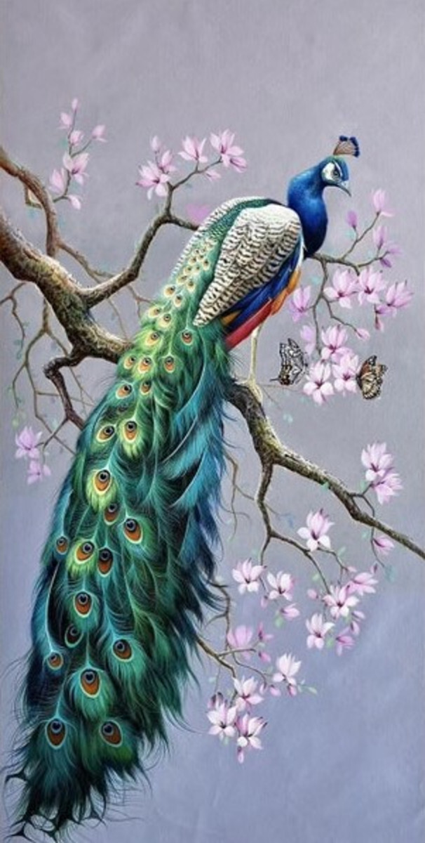 Павлин на ветке