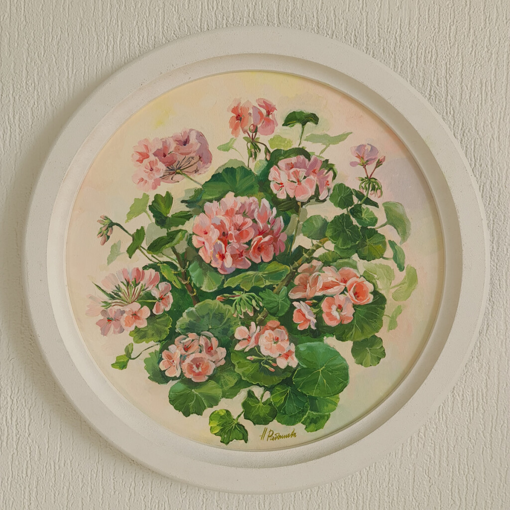 Пеларгония