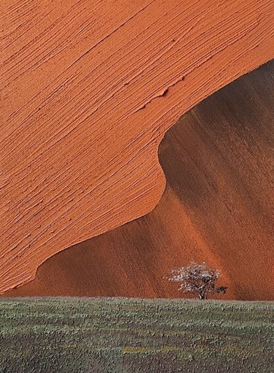 Пейзаж с деревом