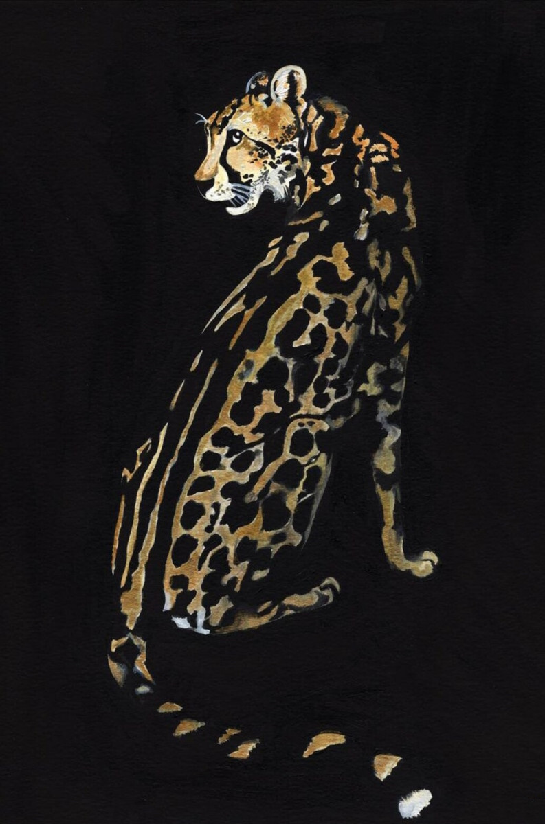 Большая кошка