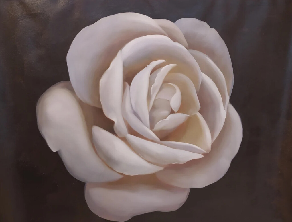 Нежная роза