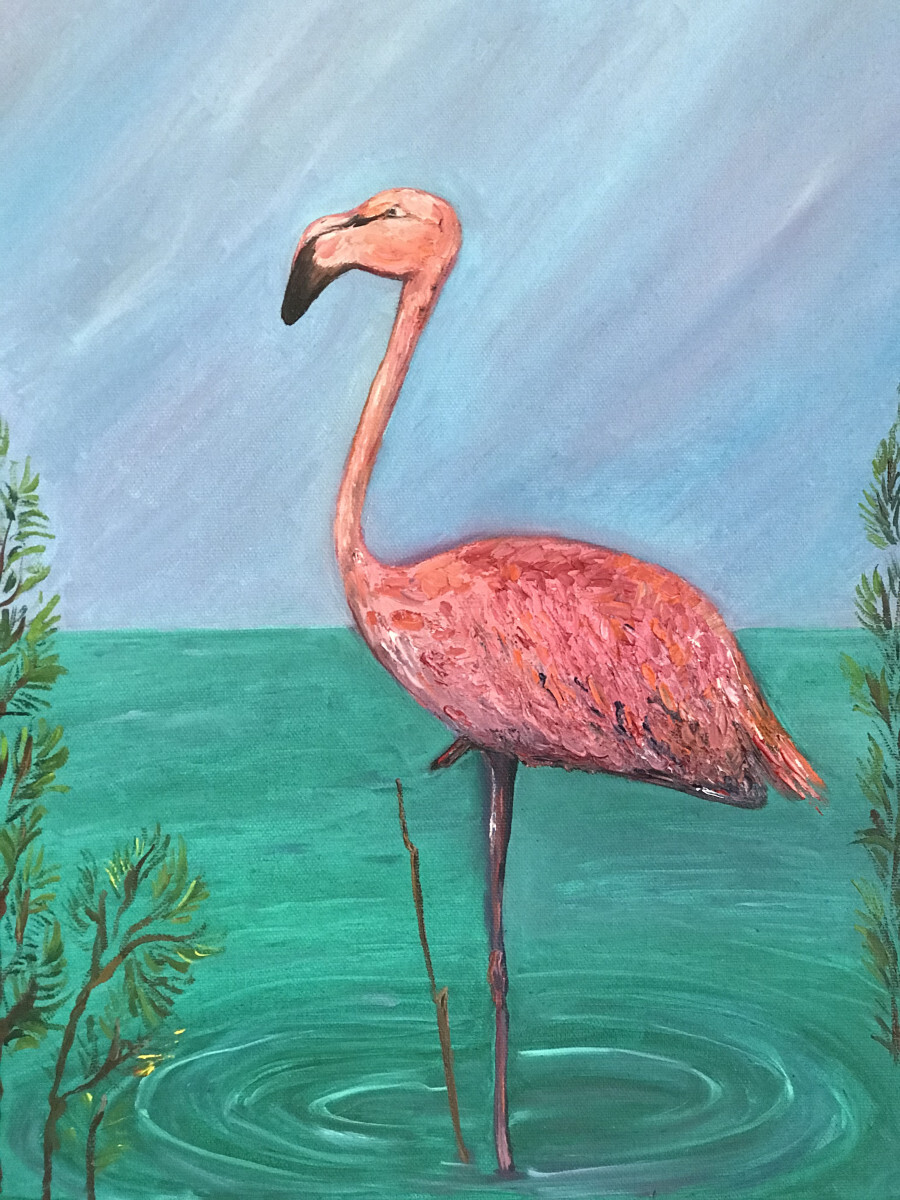 Розовый фламинго