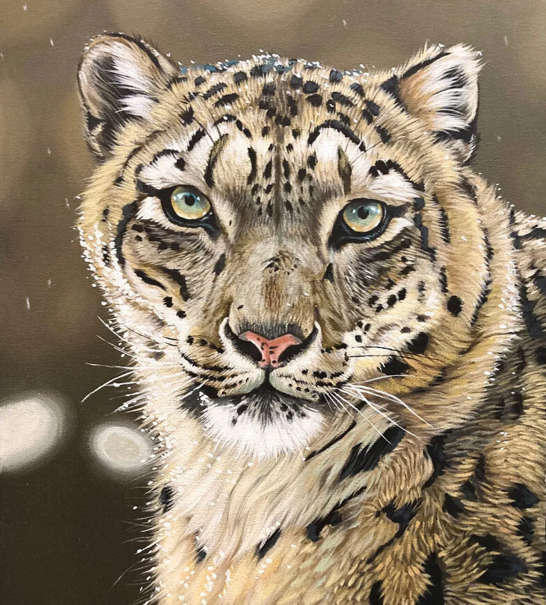 Снежный барс