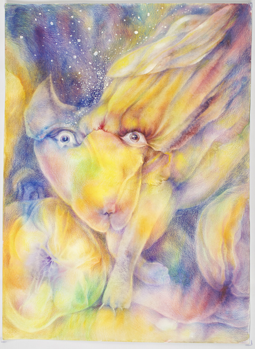 Созвездие гончих псов