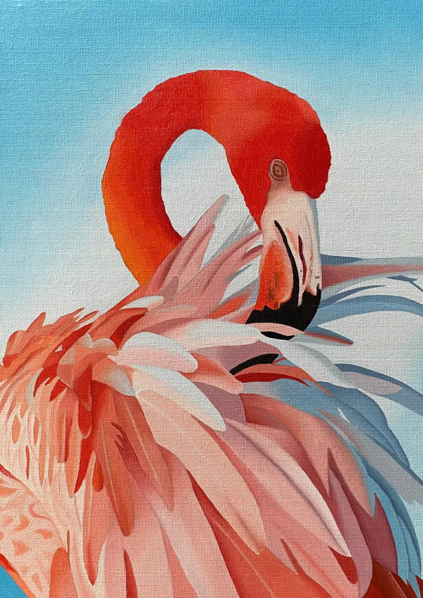 Розовый фламинго