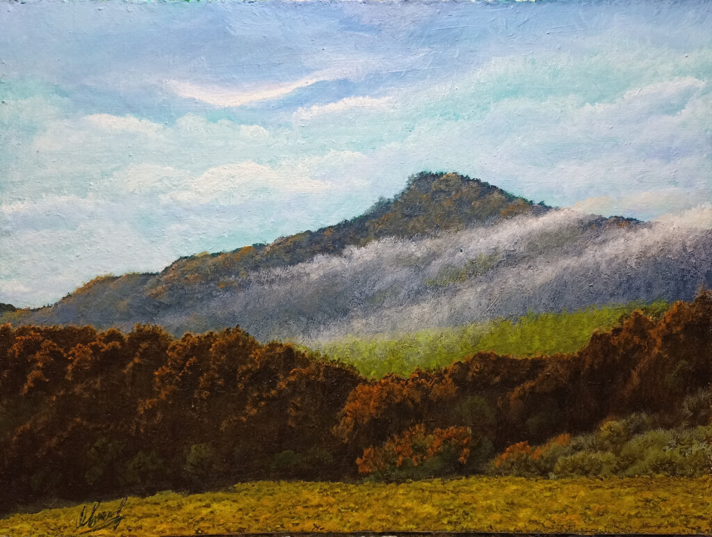 Алтай. Утренний туман после дождя