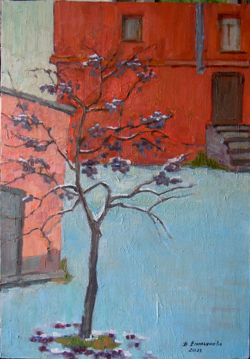 Зимняя слива