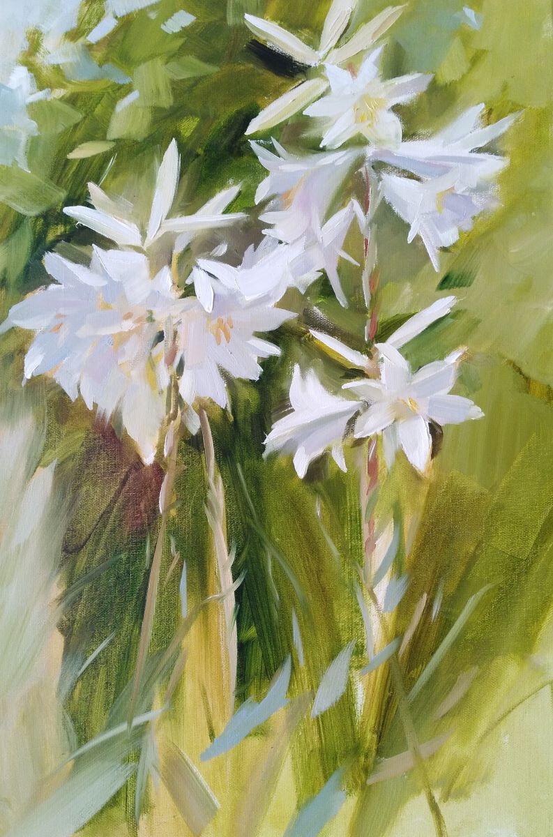 Лилии в саду