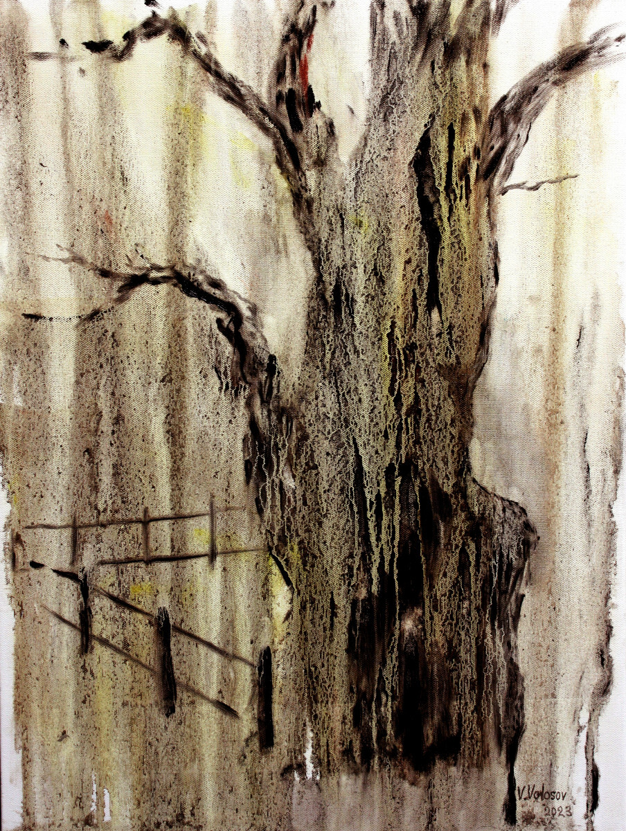 Старый престарый дуб