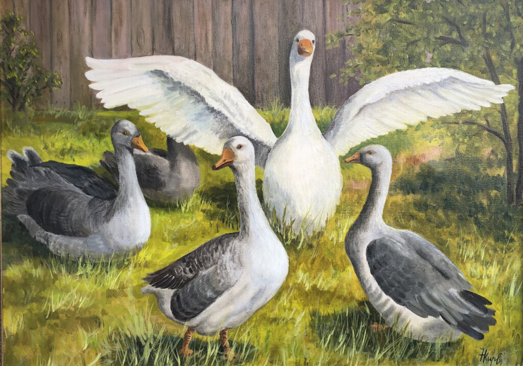 Гуси
