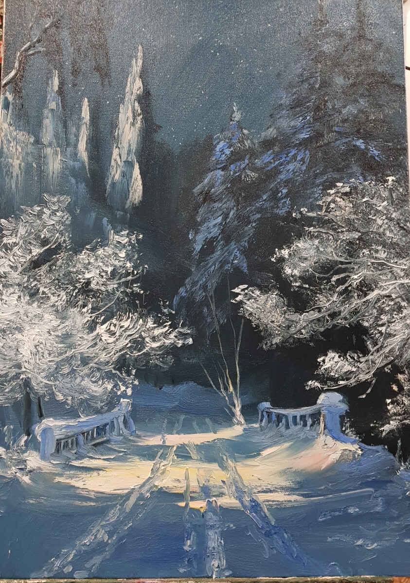 Звездная ночь