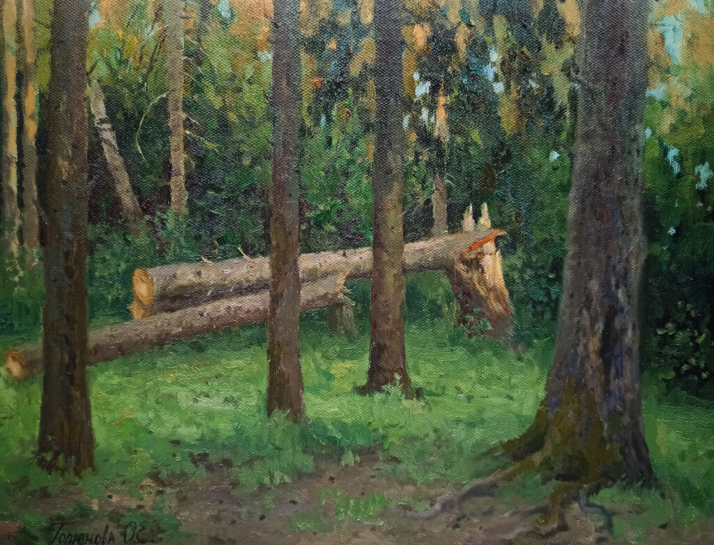 Степановский лес