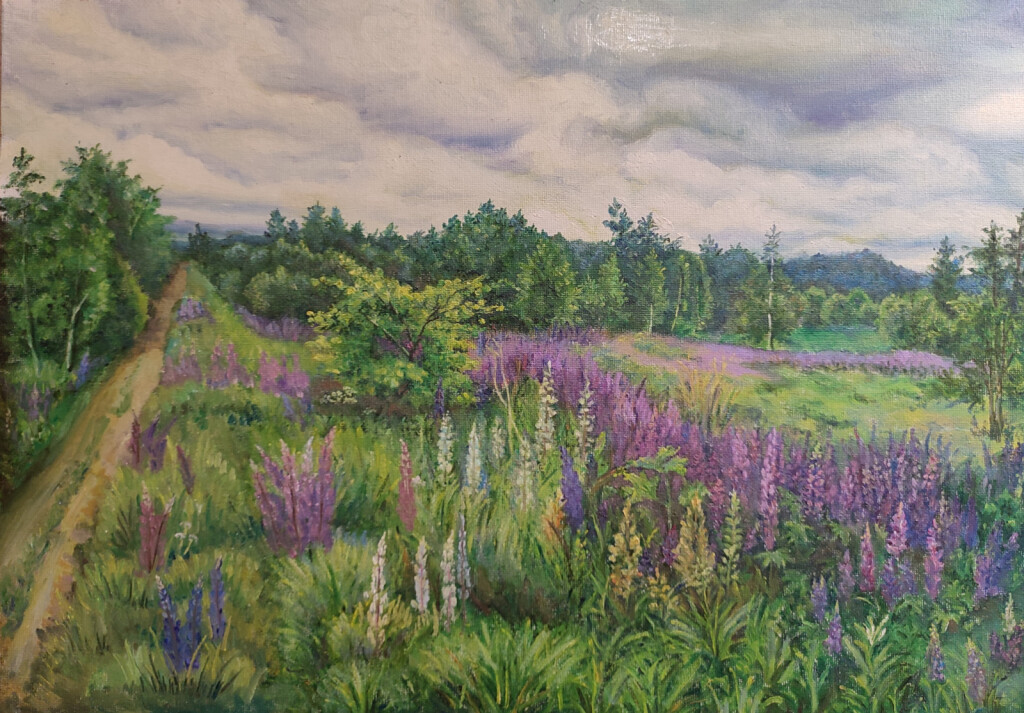 Люпины цветут