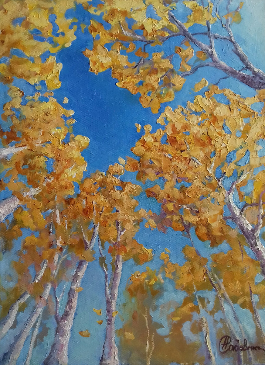 Смотри в небо