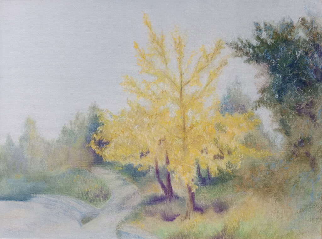 ботанический сад Иерусалима в декабре