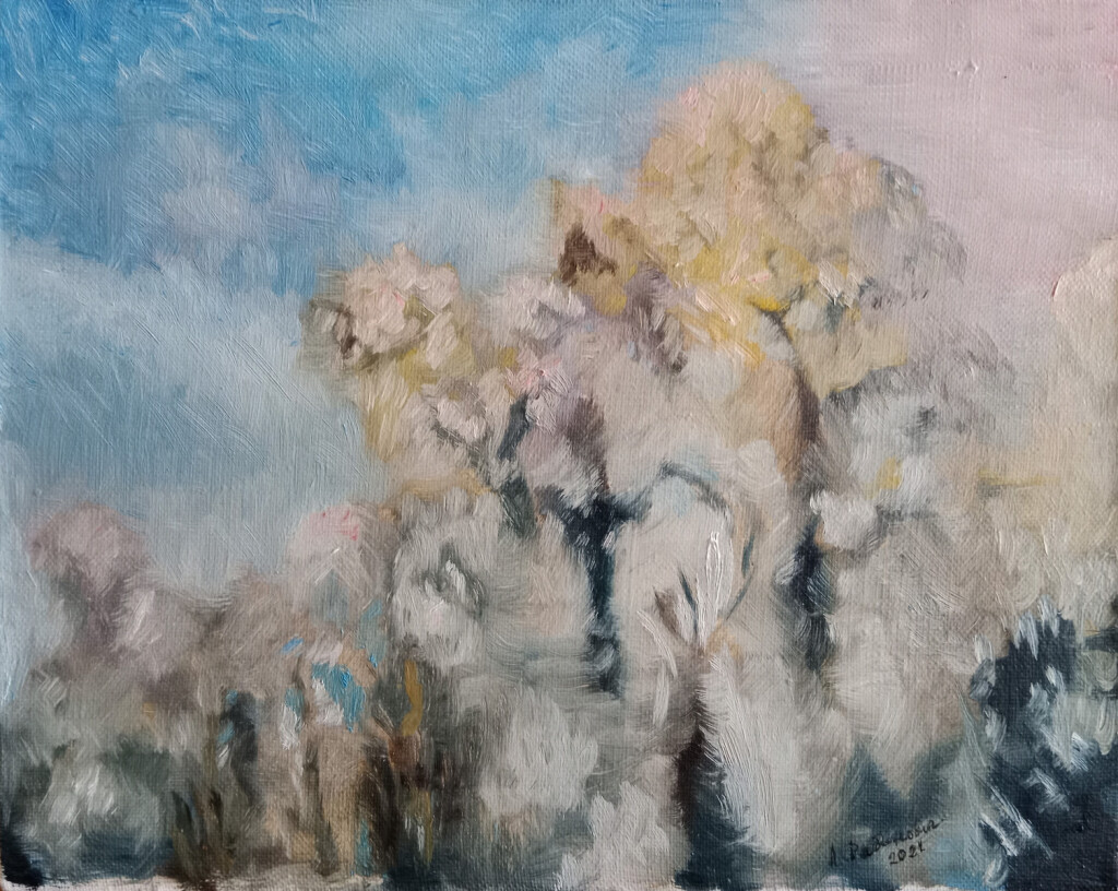 деревья в снегу